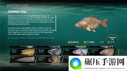 钓鱼游戏《The Catch: Carp & Coarse》将登陆Steam平台：征服巨型大鱼！